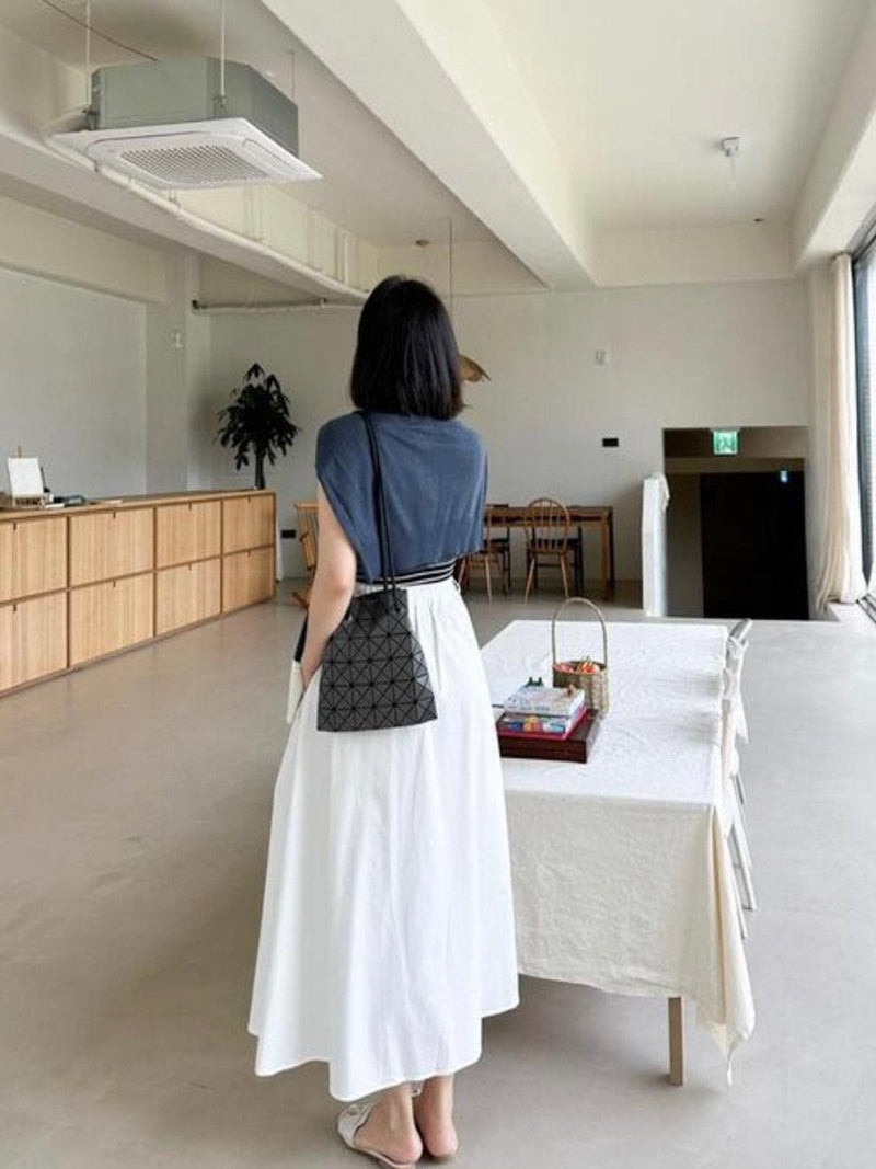 BACK BANDED FLARED PLEAT SKIRT