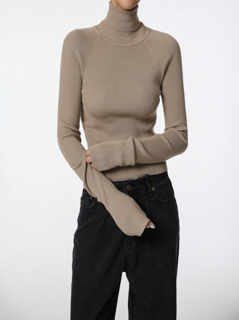 TURTLENECK RIBBED KNIT TOP