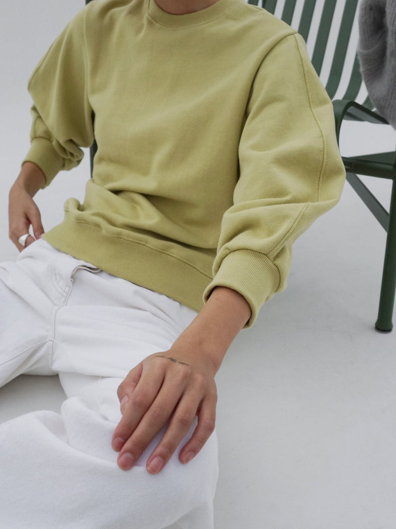 BASIC COTTON SWEATSHIRT