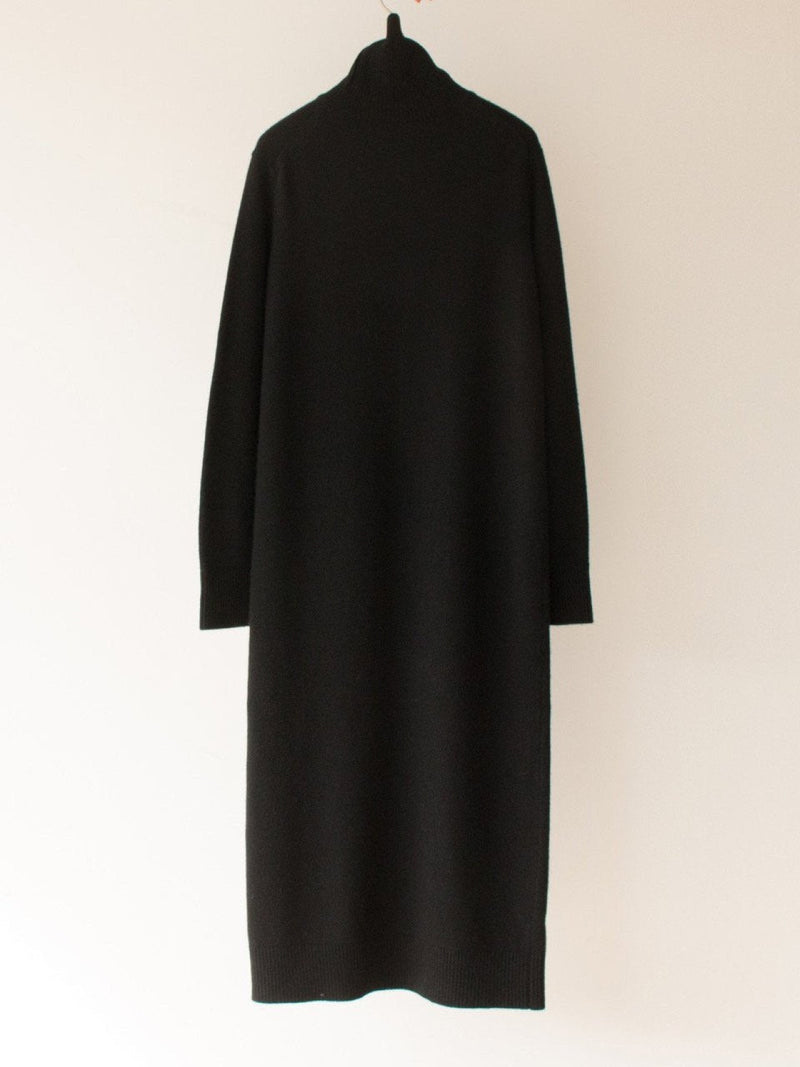 MERINO WOOL CASHMERE TURTLENECK DRESS