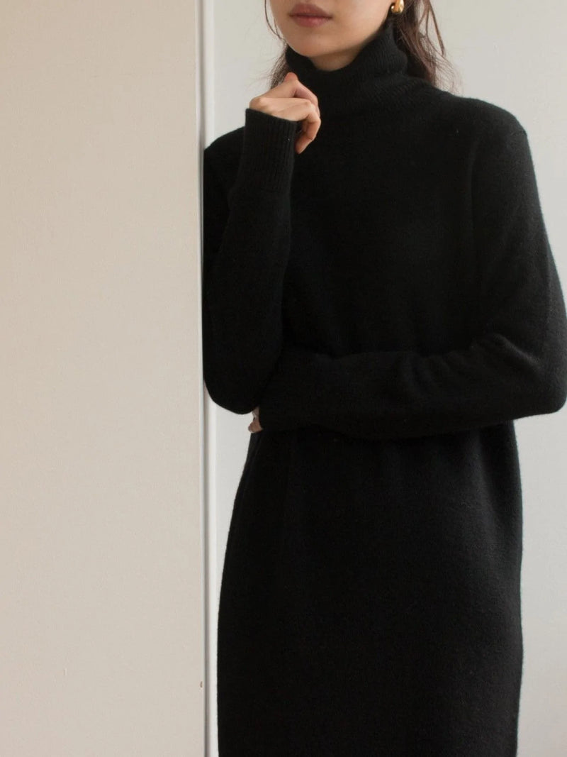 MERINO WOOL CASHMERE TURTLENECK DRESS