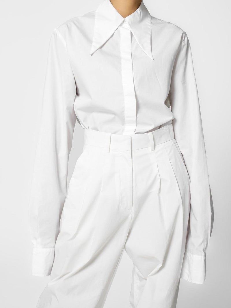 POINT COLLAR LONG SLEEVE BUTTON DOWN SHIRT