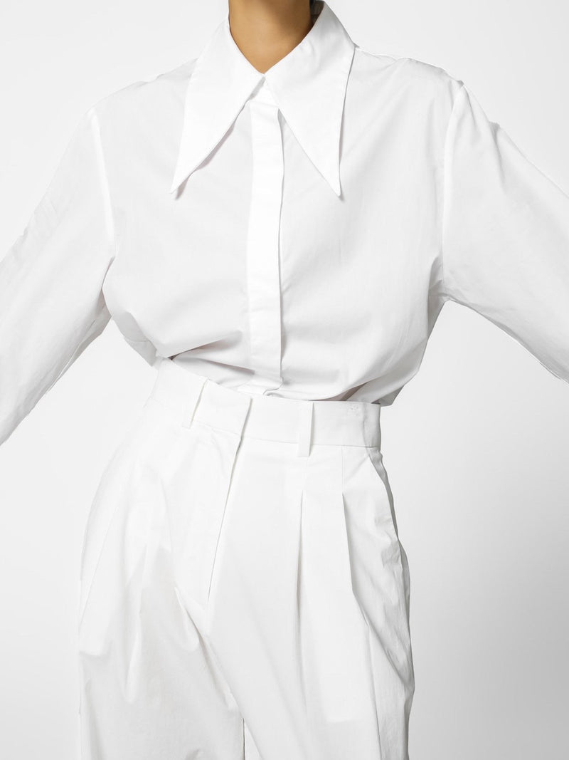 POINT COLLAR LONG SLEEVE BUTTON DOWN SHIRT