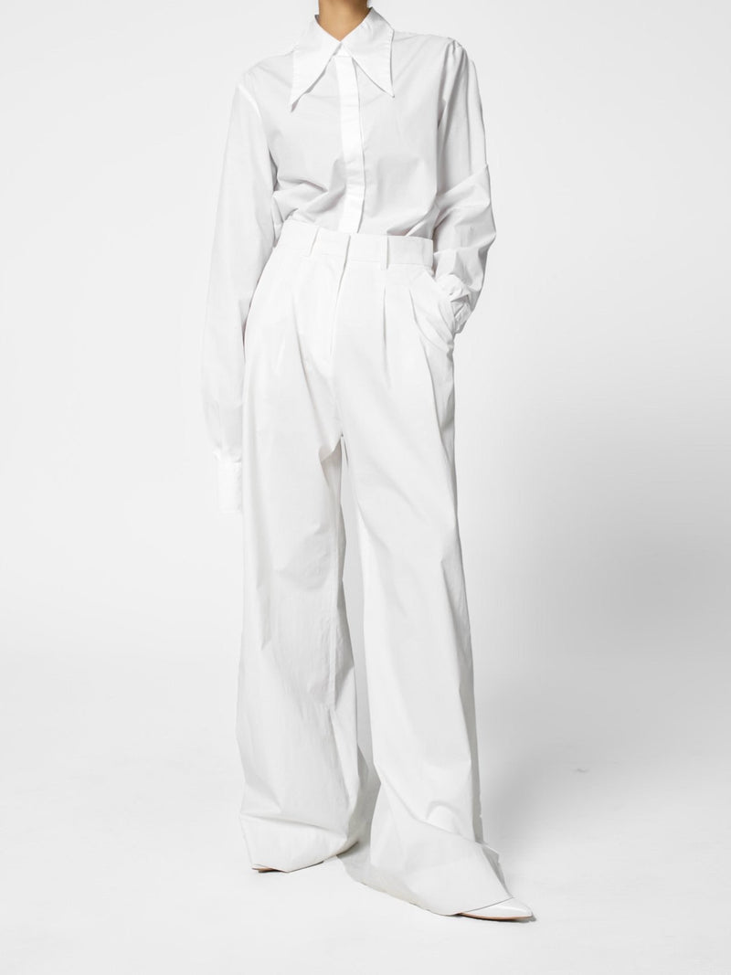 POINT COLLAR LONG SLEEVE BUTTON DOWN SHIRT