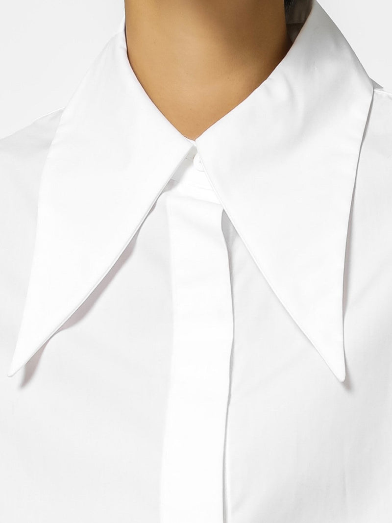 POINT COLLAR LONG SLEEVE BUTTON DOWN SHIRT