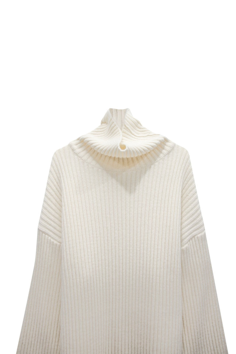 TURTLENECK RIBBED KNIT MINI DRESS