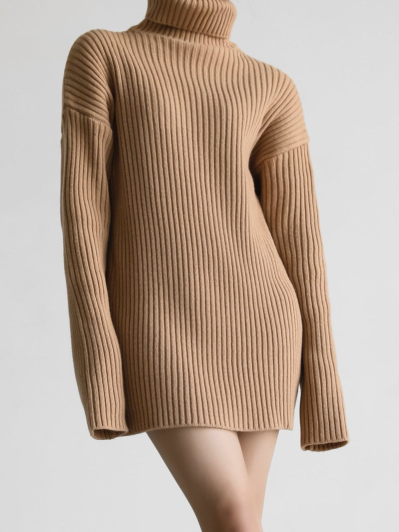 TURTLENECK RIBBED KNIT MINI DRESS