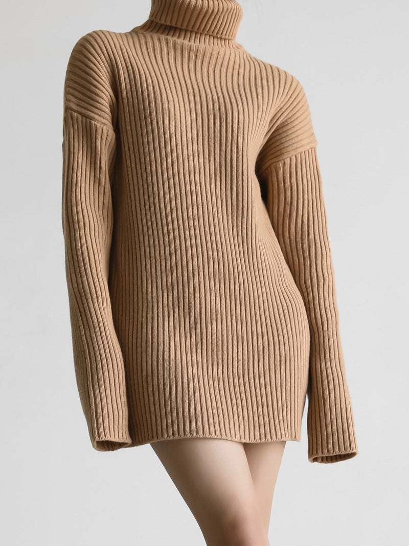 TURTLENECK RIBBED KNIT MINI DRESS