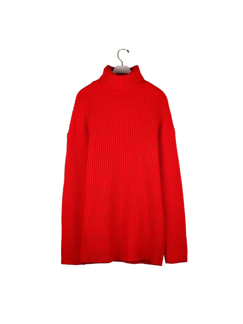 TURTLENECK RIBBED KNIT MINI DRESS