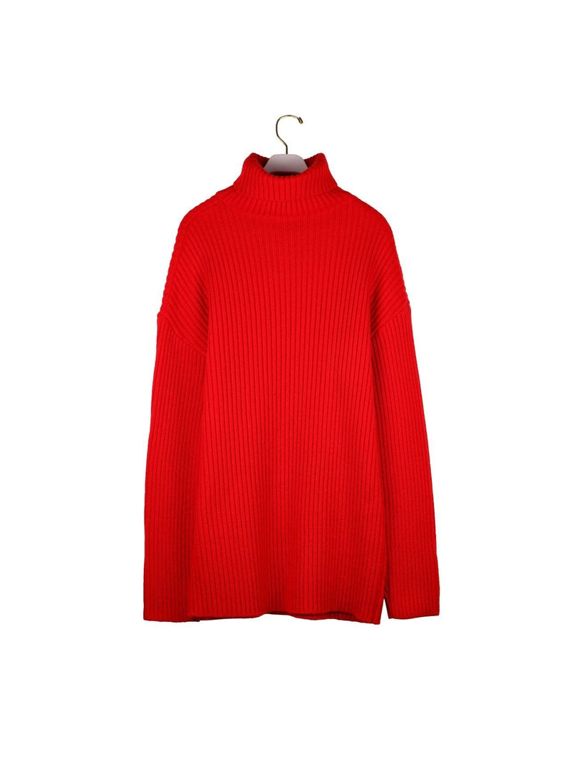 TURTLENECK RIBBED KNIT MINI DRESS