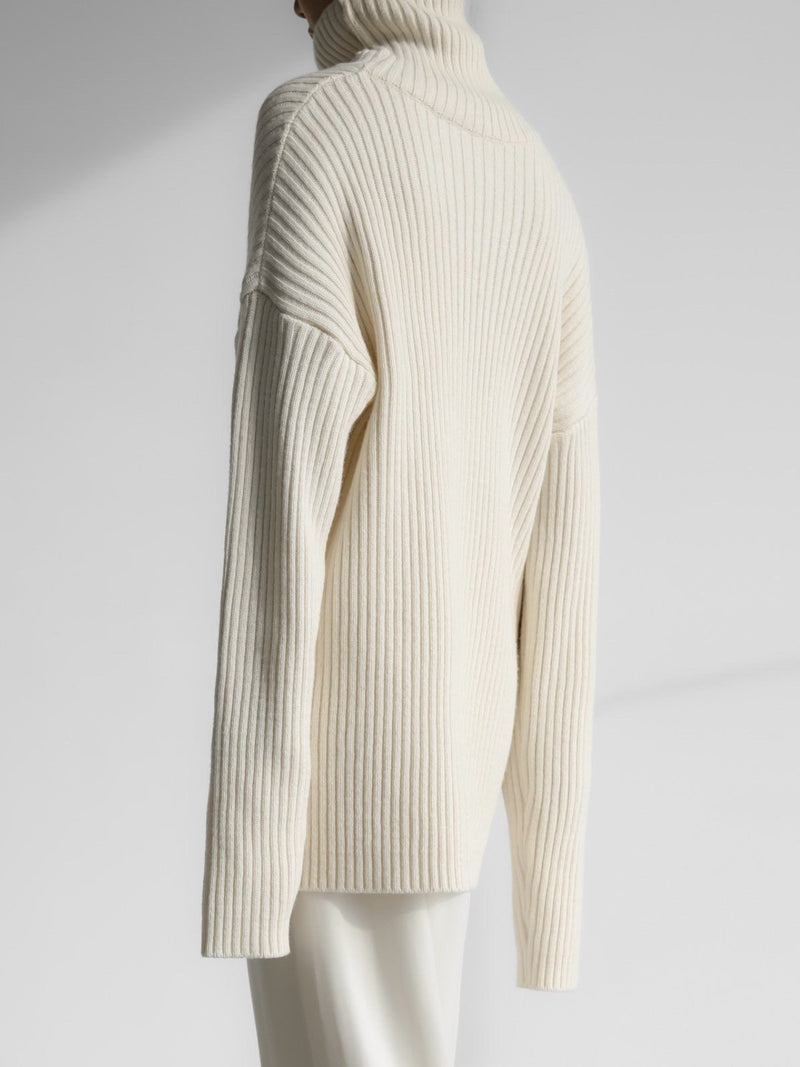 TURTLENECK RIBBED KNIT MINI DRESS