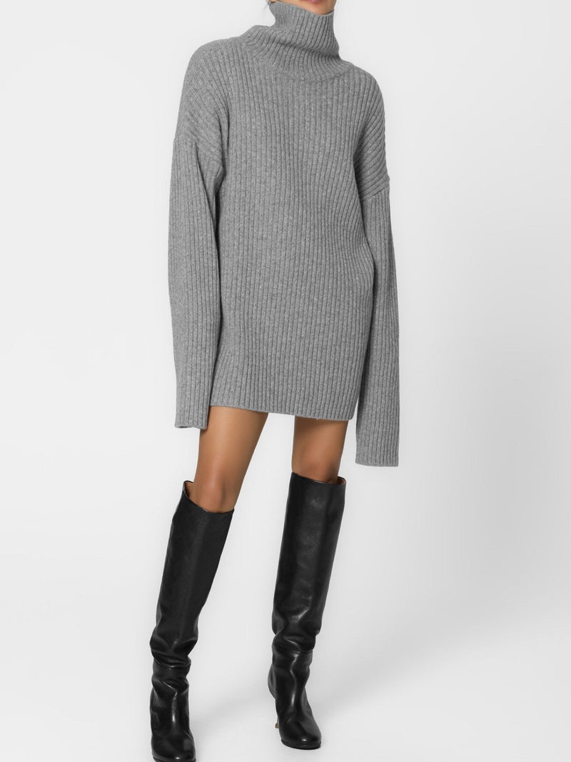 TURTLENECK RIBBED KNIT MINI DRESS