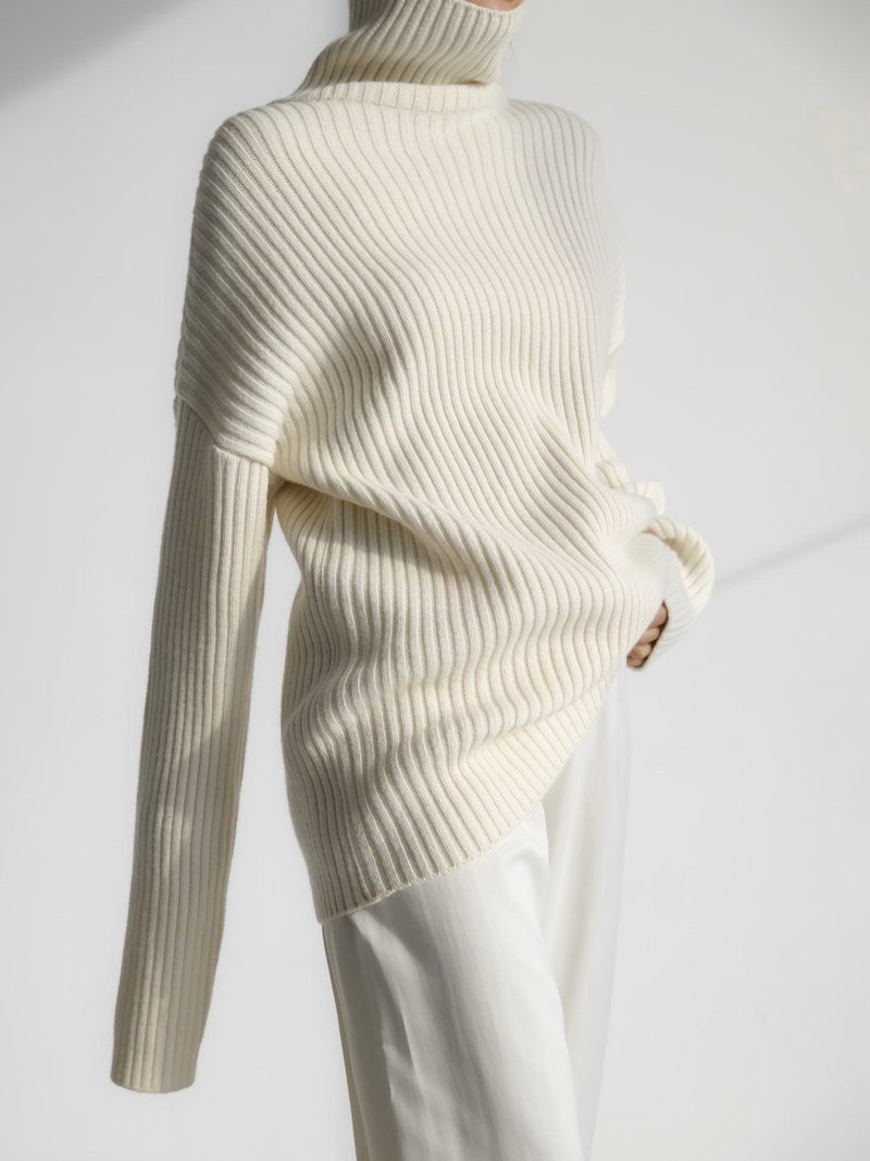 TURTLENECK RIBBED KNIT MINI DRESS