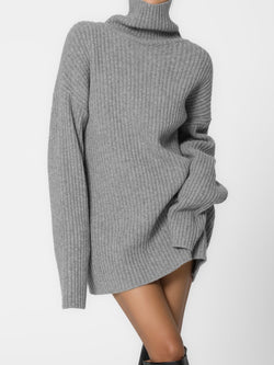 TURTLENECK RIBBED KNIT MINI DRESS