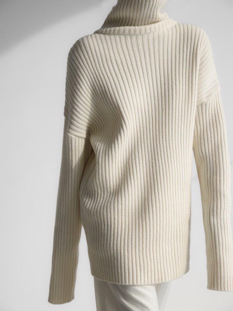 TURTLENECK RIBBED KNIT MINI DRESS