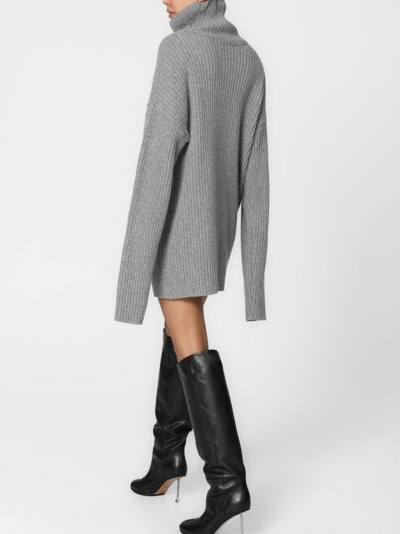 TURTLENECK RIBBED KNIT MINI DRESS
