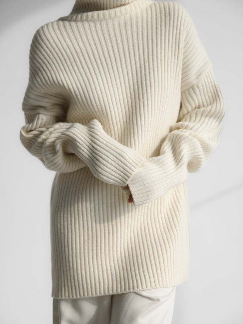 TURTLENECK RIBBED KNIT MINI DRESS