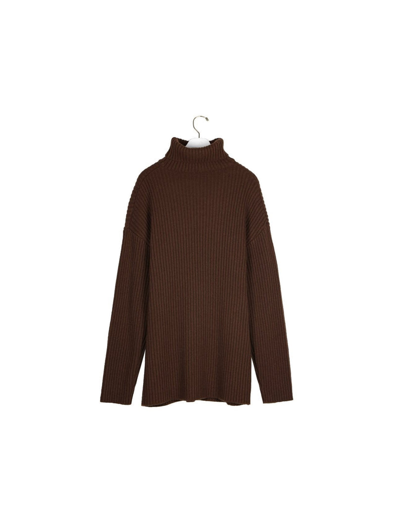 TURTLENECK RIBBED KNIT MINI DRESS