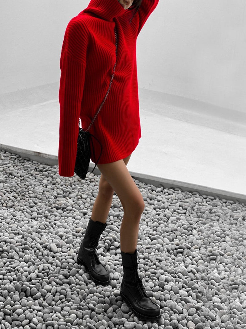 TURTLENECK RIBBED KNIT MINI DRESS