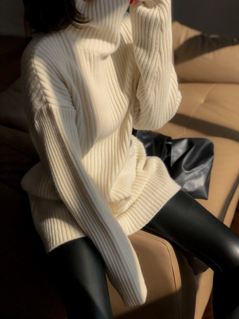 TURTLENECK RIBBED KNIT MINI DRESS